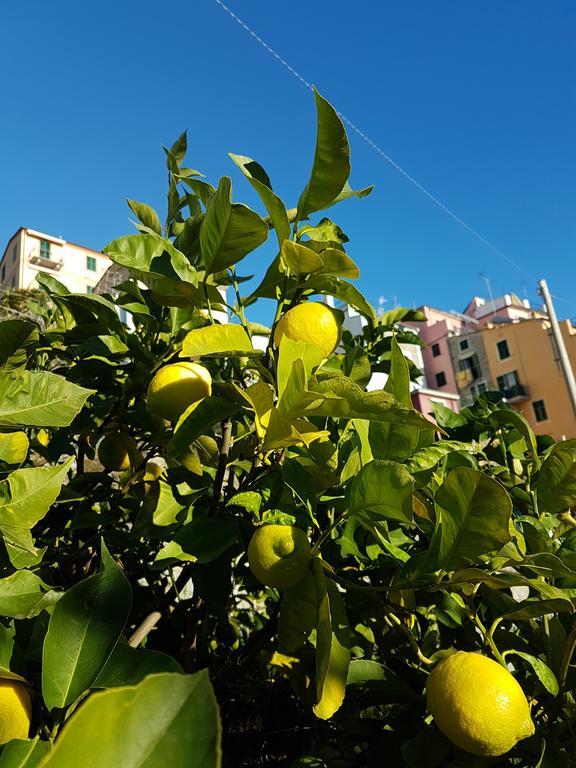 Affittacamere Il Timone Corniglia Kültér fotó