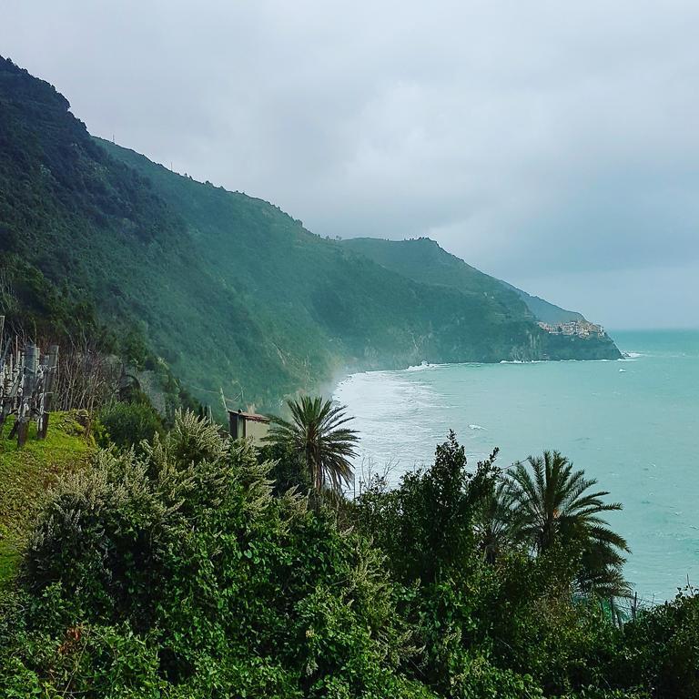 Affittacamere Il Timone Corniglia Kültér fotó