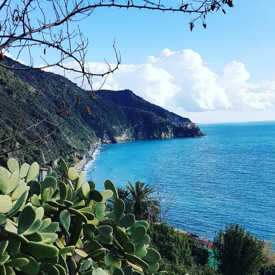 Affittacamere Il Timone Corniglia Kültér fotó