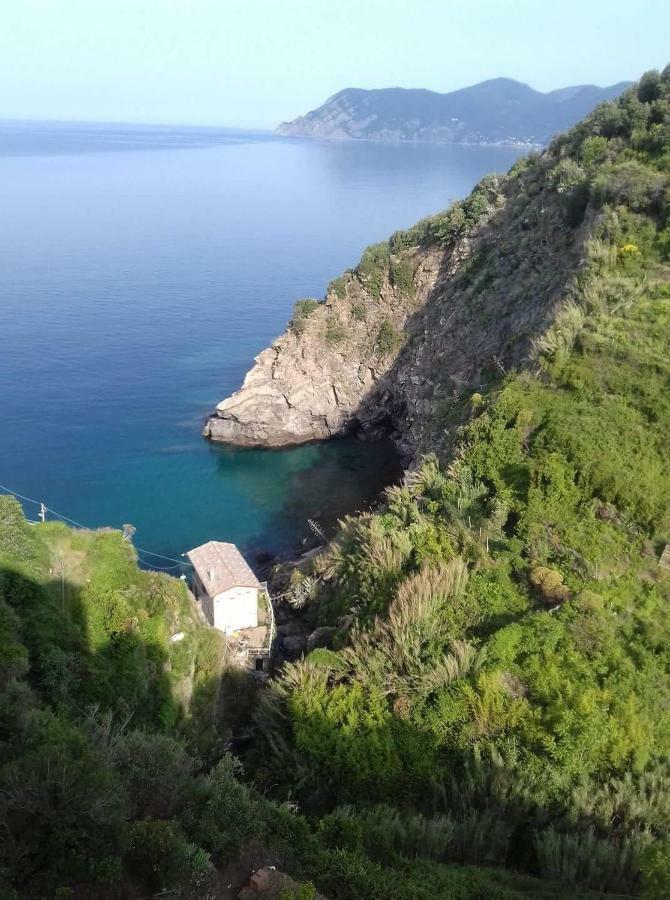 Affittacamere Il Timone Corniglia Kültér fotó